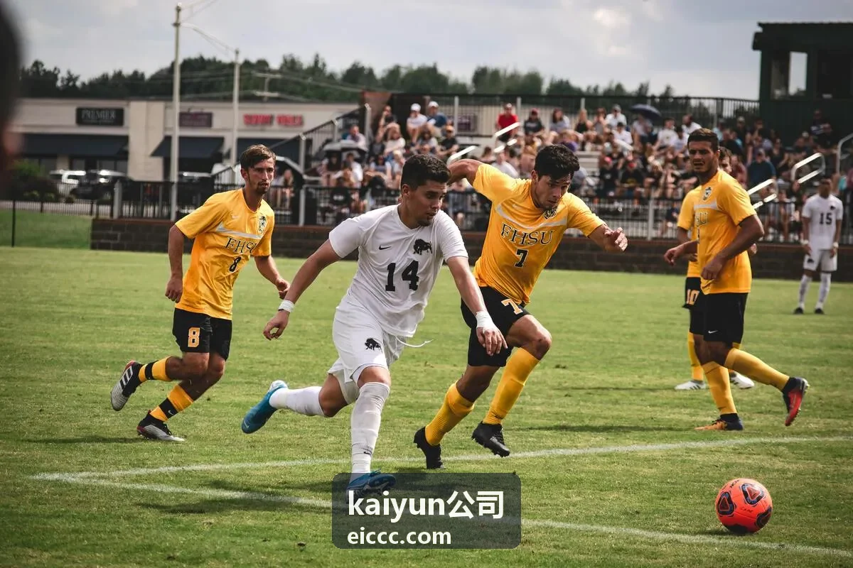 kaiyun公司安全加固与权限管理服务